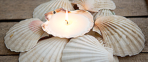 Vanilla Velvet seashell candle